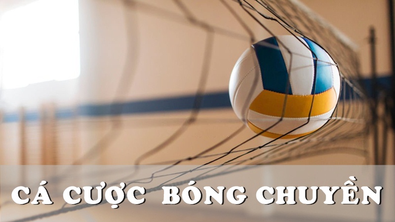 Phân tích các loại kèo phổ biến trong cá cược bóng chuyền 1xbet