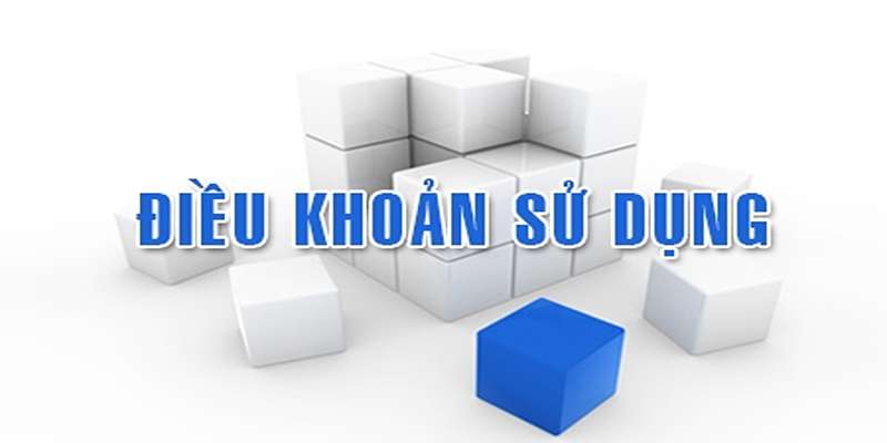 Chính sách Bảo mật và Sử dụng Thông tin Cá nhân của 1XBET